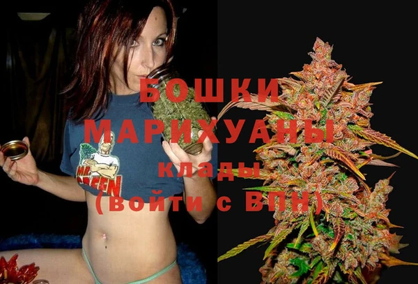 дмт Бронницы