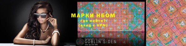PSILOCYBIN Богородицк