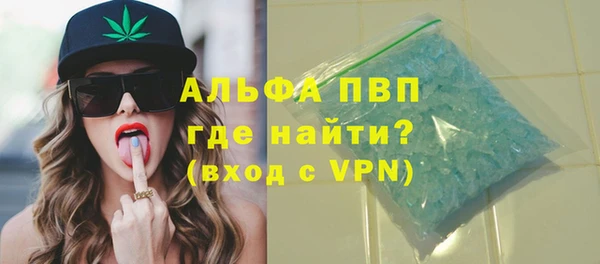 дживик Бородино