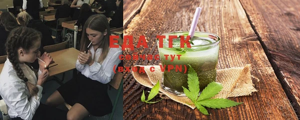 дживик Бородино