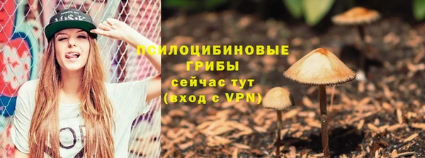 дмт Бронницы