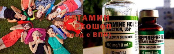 PSILOCYBIN Богородицк