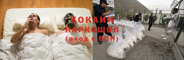 PSILOCYBIN Богородицк